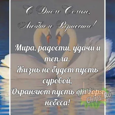 Две трети россиян уверены, что семья в традиционном смысле в России  вымирает - KP.RU