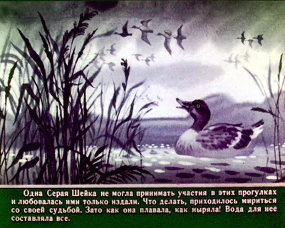 Смотреть диафильм Серая шейка
