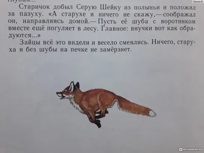 Серая Шейка\". Мамин-Сибиряк Д. Н. - «? \"Без снасти даже клопа не убьешь\" ?  Взрослое прочтение знакомой с детства сказки ?» | отзывы