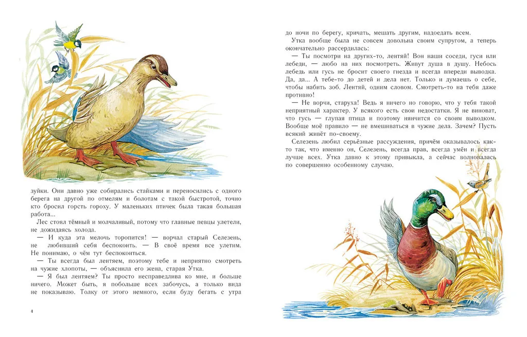 Раскраски Серая Шейка распечатать бесплатно в формате А4 (5 картинок) | RaskraskA4.ru Раскраски Серая Шейка распечатать бесплатно в формате А4 (5 картинок) | RaskraskA4.ru