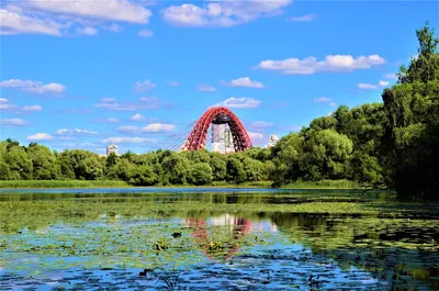 Агентство городских новостей «Москва» - Фотобанк