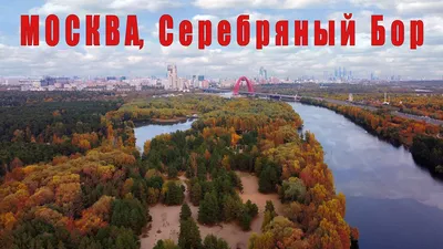 Пляж \"Серебряный бор-3\" в Москве: как добраться, отзывы, фото, цены