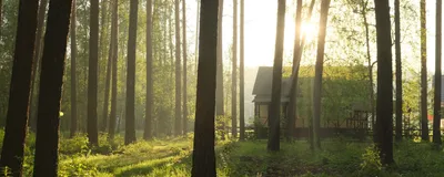 Предстоящая неделя обещает быть жаркой☀️ У нас есть идеальный план для  августовского знойного дня-принять солнечные ванны и поплавать в… |  Instagram