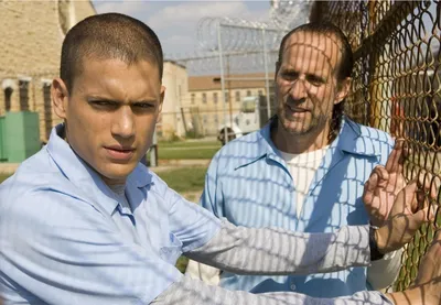 Далеко не убежали. Почему провалился ремейк популярного \"Prison Break\" в  России. Сериал \"Побег\" | КИНОКОТ | Дзен