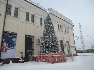 Электрички из Москвы в Серпухов и Тулу задерживаются из-за ЧП