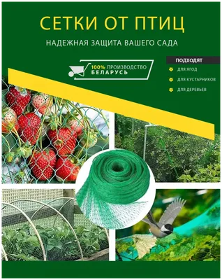 Сетка от птиц 4*10 м \"Удачников\" зеленая в Москве – цены, характеристики,  отзывы