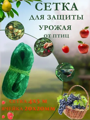 Сетка от птиц удачников 2х10м 20867 — купить в Абакане по цене 1229,0 руб  за шт на СтройПортал