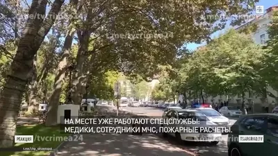 Севастополь сейчас. Оставайтесь дома. Крым 24 | @tvcrimea24 - Лента  новостей Крыма