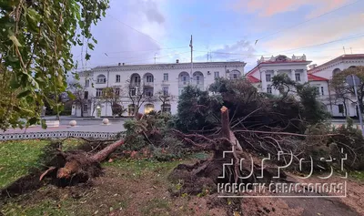 Где в Севастополе опасно и где – очень опасно (анализ карты военных  объектов)