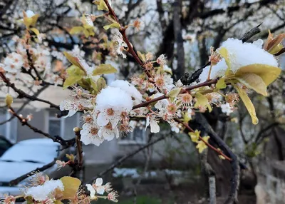 Весна в Севастополе. Продолжение...