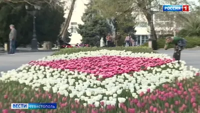 Севастополь Осенью, Зимой, Весной, Летом - Сезоны и Погода в Севастополе по  Месяцам, Климат, Tемпература