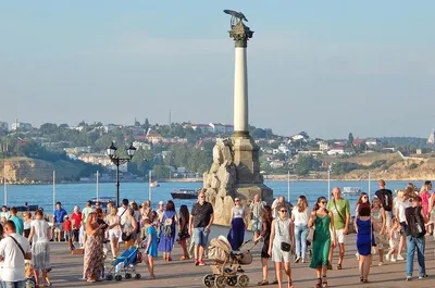 Какие растения уже зацвели на улицах Севастополя