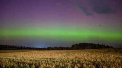 Северное сияние» над Оренбургской областью: большой фоторепортаж |  06.11.2023 | Новости Орска - БезФормата