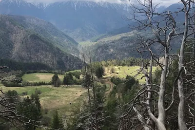 ⛰Северный Кавказ - альпийские луга, горные вершины, удивительной красоты  пейзажи и чистейший воздух от которого кружится голова.… | Instagram