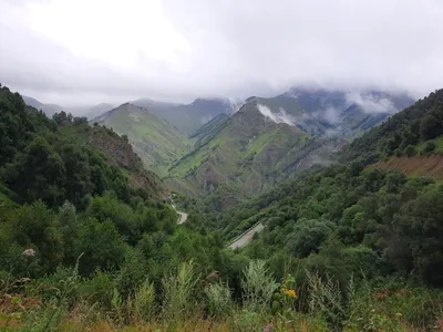 Северный Кавказ фото фотографии