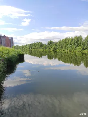 Томск. Урбанизация. Северный парк. | Парк, Город