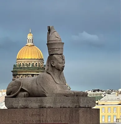 Сфинксы в Санкт-Петербурге