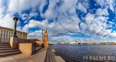 Сфинксы, достопримечательность, Свердловская наб., 40, Санкт-Петербург —  Яндекс Карты