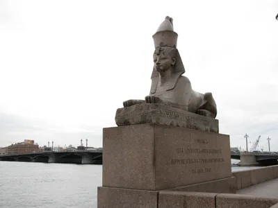 Сколько сфинксов в Санкт-Петербурге.