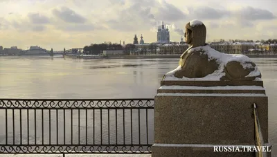 Фото: Сфинксы, жанровая скульптура, Санкт-Петербург, Университетская  набережная — Яндекс Карты