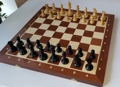 Виниловая шахматная доска | chessboard