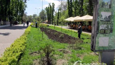 Новогодняя Чита: преображение Шахматного парка