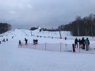 Горнолыжный курорт \"Шакша\" Ярославль - веб камера и фото склонов