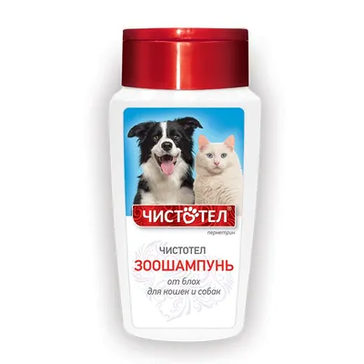 Антибактериальный шампунь Vetbio Dr.Pets с хлоргексидином и кетоконазолом для  собак и кошек 150 мл - купить по лучшей цене в Харькове от компании  \"Зоомагазин Шиншилка - Дискаунтер зоотоваров.Корма для кошек и собак.