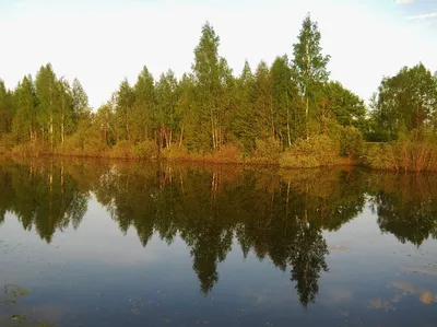 Купить Загородную Недвижимость в деревне Шаталово (Смоленская область) -  объявления о продаже загородной недвижимости недорого: планировки, цены и  фото – Домклик