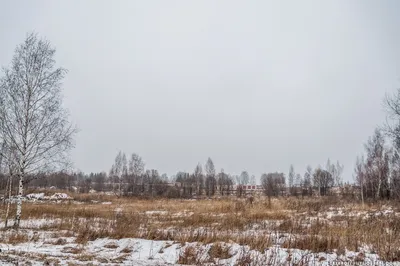 Купить Загородную Недвижимость в деревне Шаталово (Смоленская область) -  объявления о продаже загородной недвижимости недорого: планировки, цены и  фото – Домклик