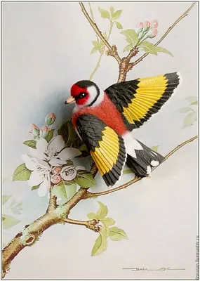 Щегол (лат. Carduelis). Фотограф Константин Слободчук