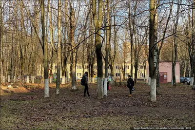 Места для свадебной фотосессии в Щелково. Свадебный фотограф в Москве.  Фотограф и видеограф комплектом