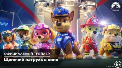 Игровой набор Щенячий патруль 6055253 Мега Щенки - фигурка Гончик купить в  Новосибирске - интернет магазин Rich Family