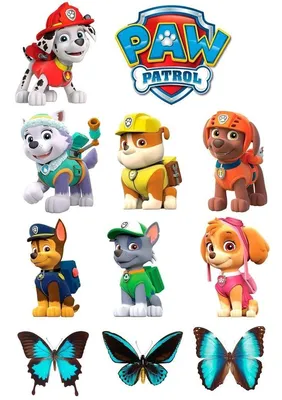 щенячий патруль | Skye paw patrol, Animal crafts, Suprise birthday party