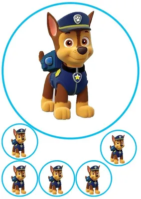 Купить Сухой шоколадный завтрак Щенячий патруль Paw Patrol Dolci Preziosi  300 г в Украине ᐉ Цены, отзывы, характеристики | Интернет-магазин Gurman  House