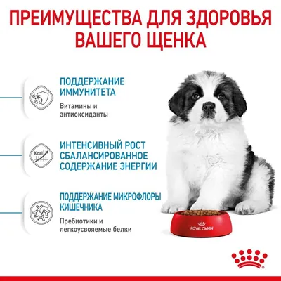 Dog Chow корм для щенков крупных пород, индейка и рис — купить по доступной  цене с доставкой