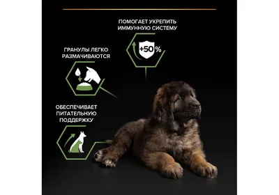 Корм для щенков очень крупных пород, Royal Canin Giant Puppy купить с  доставкой в интернет-магазине зоогастроном.ру