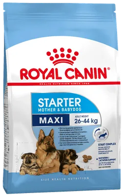 Royal Canin Maxi Puppy | Сухой корм для щенков крупных пород собак