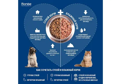 Корм для щенков крупных пород, Royal Canin Maxi Puppy купить с доставкой в  интернет-магазине зоогастроном.ру