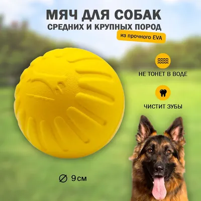 Pro Plan Puppy Large Robust для щенков крупных пород с курицей, 12кг купить  в Одессе в интернет-зоомагазине - Zoodream.com.ua