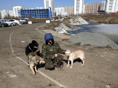 Заключен контракт на строительство дороги Воскресенское — Каракашево —  Щербинка в Москве » АО «Центродорстрой» (АО «ЦДС») - Комплексное  строительство автомобильных дорог, мостов, путепроводов, пешеходных  переходов, взлетно-посадочных полос, рулежных ...