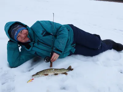 Значок ЩУКА Брошь Щука Подарок рыбаку Щука pike pin WildlifeCollectio  купить в интернет-магазине Ярмарка Мастеров по цене 600 ₽ – GLIHHBY |  Значок, Москва - доставка по России