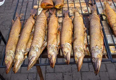 Щука - речная царица - Fishmarket - супермаркет рыбы