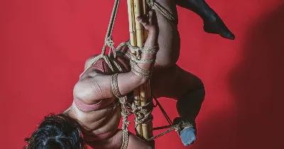 Shibari 縛りis traditional Japanese rope art (or torture lol) which I'm  incorporating into my @sydneyoperahouse @vividsydney show on June… |  Instagram