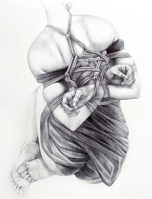 Shibari: Rope Workshop Step-by-Step in 20 Lessons: Boxis, Philippe:  9782915635911: Amazon.com: Books