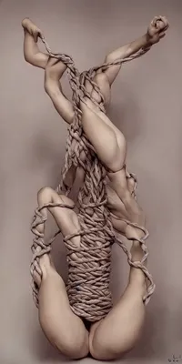 Shibari Figure Suspension 1 - Etsy