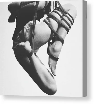 Shibari artwork - Rope art \" Poster for Sale by PraetorianX | Redbubble