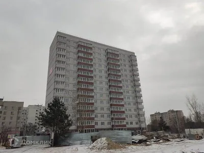Шиловские перспективы – Коммерсантъ Воронеж