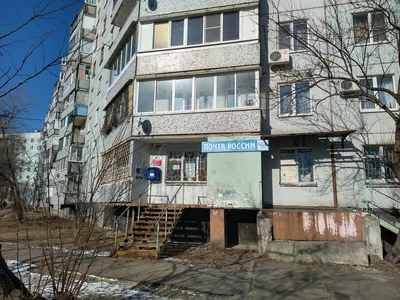 16:1 в пользу кольца. Власти Воронежа обеспокоились частыми ДТП на новой  дороге в Шилово – Новости Воронежа и Воронежской области – Вести Воронеж