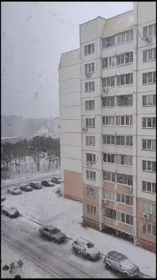 Воронежцы потребовали остановить строительство многоэтажки в мкр Шилово |  36on.ru